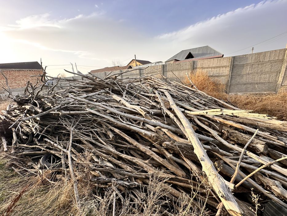 Дрова сухие для бани и шашлыка прочие