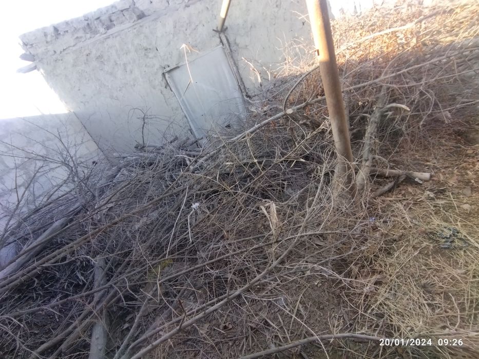 Qishga oʻtin sotiladi!