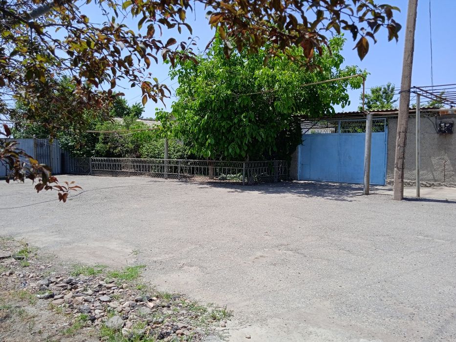 Продажа. Два дома на одном участке.