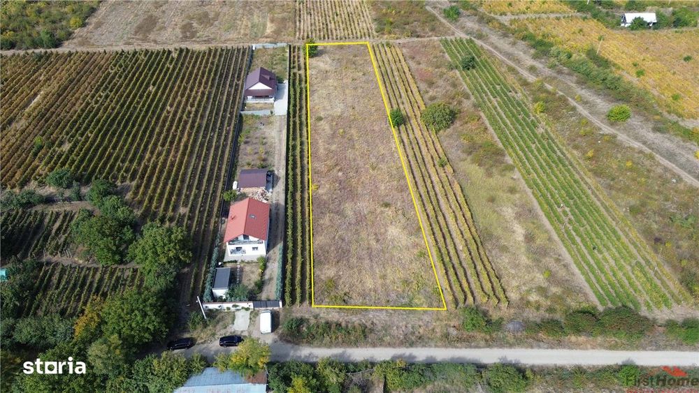 Teren de vanzare 3704 mp, extravilan Odobesti