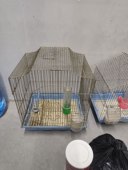 Канарче и 3бр. клетки