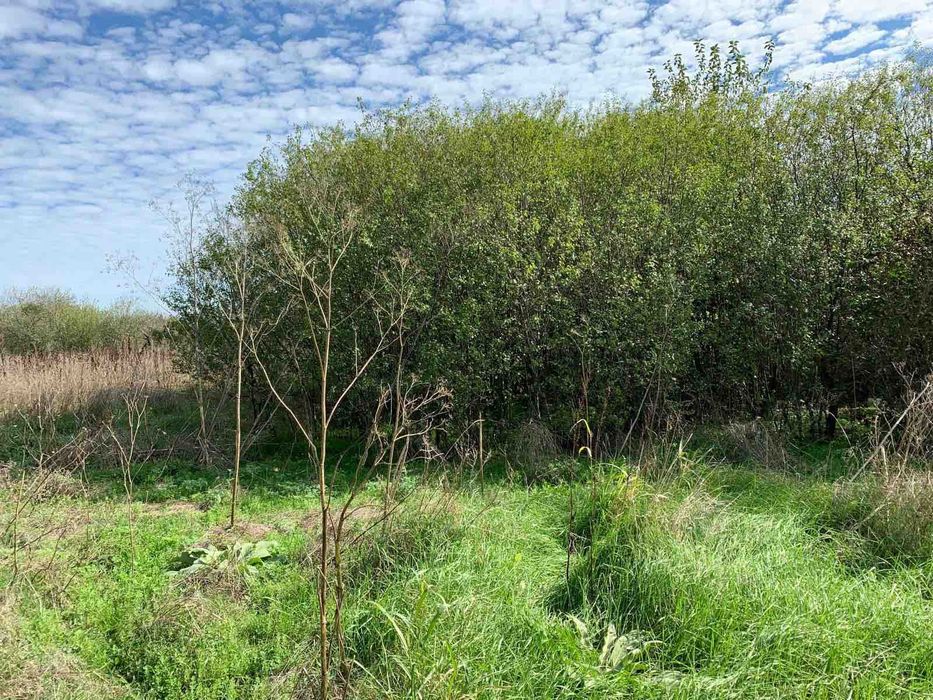 Парцел в с. Николаевка 22 000E