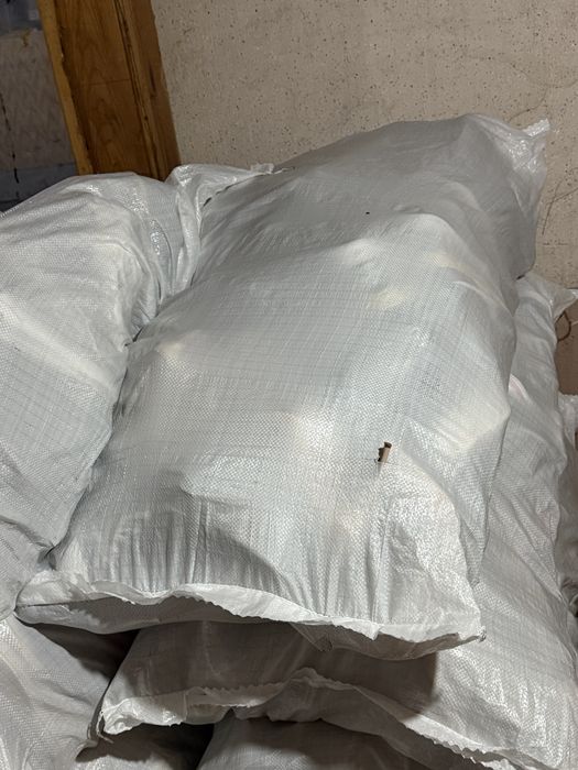 Încălțăminte cal2 Second Hand