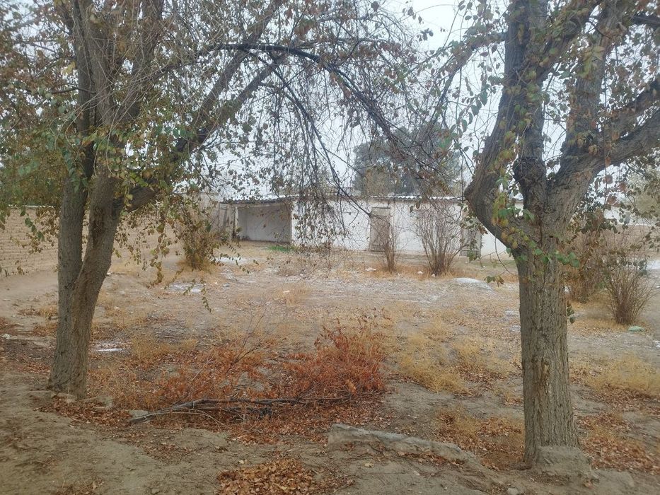 Учкизил катта кумдв 2 та уй