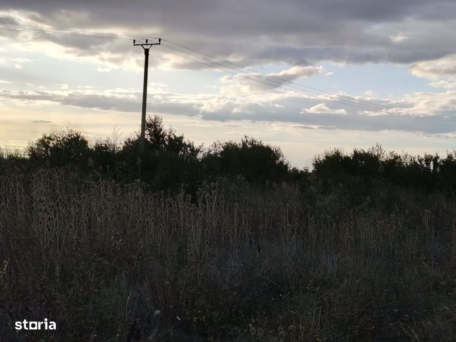 4 terenuri extravilane, 22.000 mp, in zona Verguleasa, langa Buzau