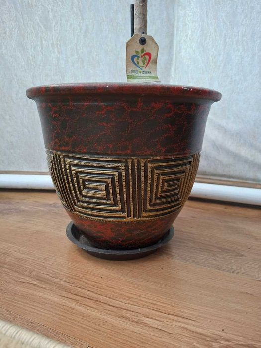 Продам домашние цветы, драцену
