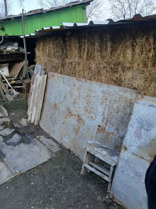 Baloti fan 2025 25 kg