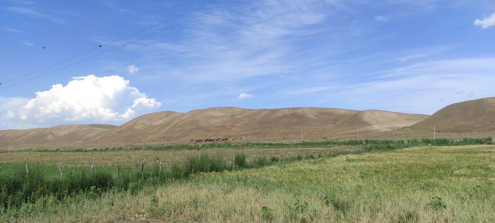 Срочно продам участок 12.5 га