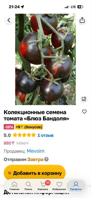 Рассада томатов крепкая