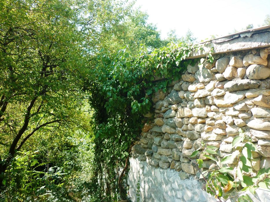 Продавам малка вила