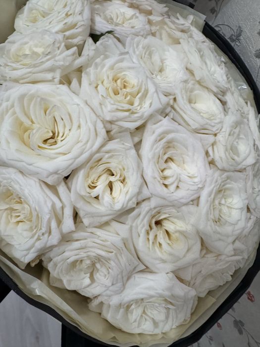 Цветы 25 шт. Белые розы