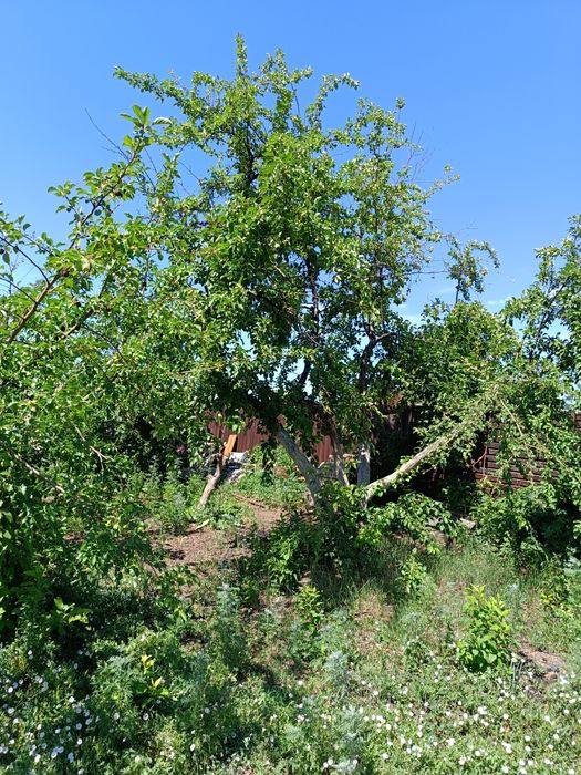 Дачный участок по зеренде