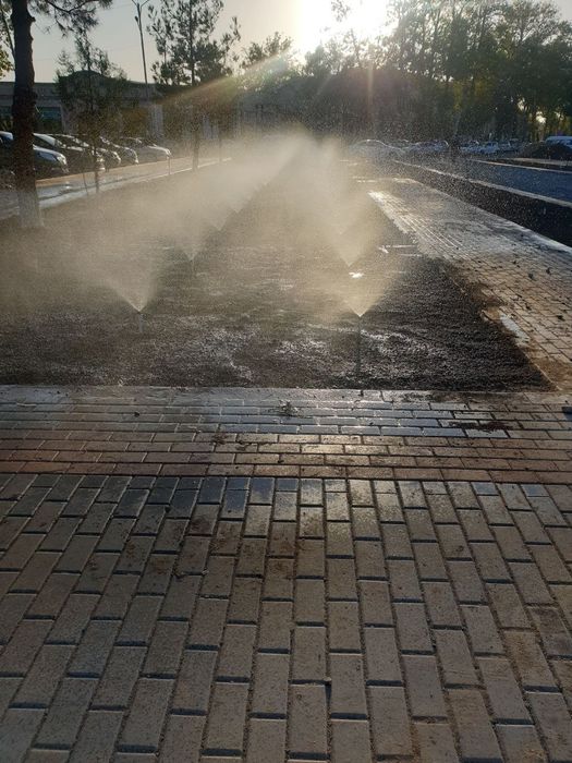 Gazon daraxtlar ekish va Dorilash xizmari