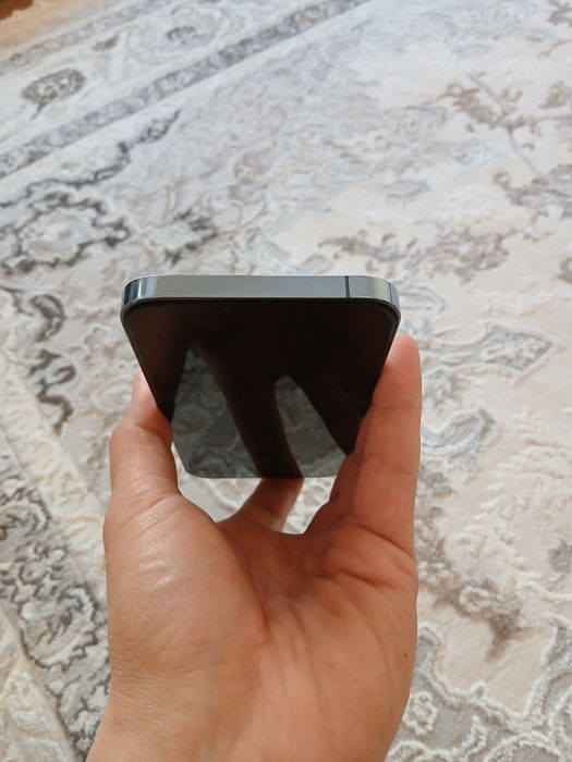 Iphone 13 pro max ideal