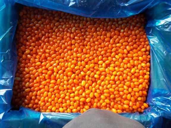 Замороженная ягода