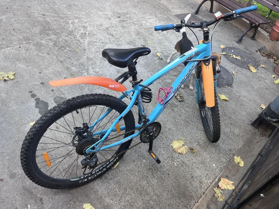 Bicicleta Mountain bine Splendor