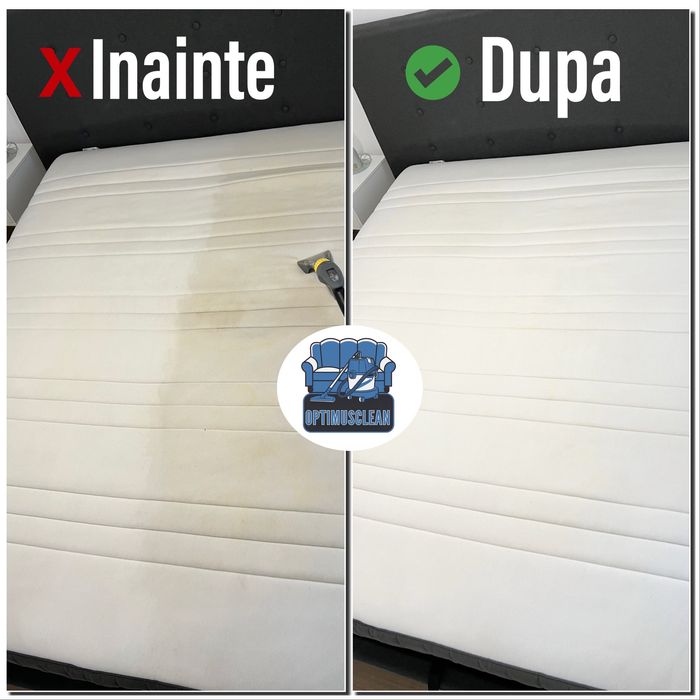 Curatare - spalare - igienizare canapele,saltele,fotolii,mocheta,auto