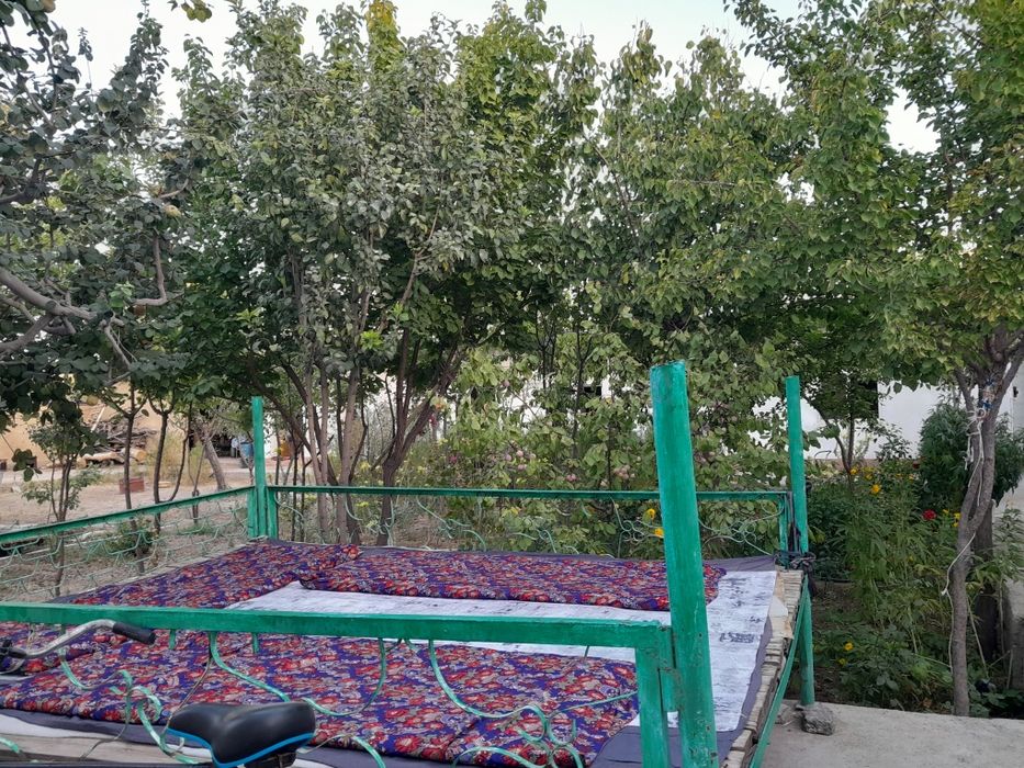 Zarafshon shahar Miraj 1 anorzor ko‘chasidan dala hovli sotiladi