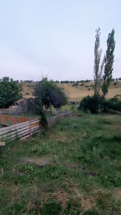 1-гектар жер сатылады Ленгерде