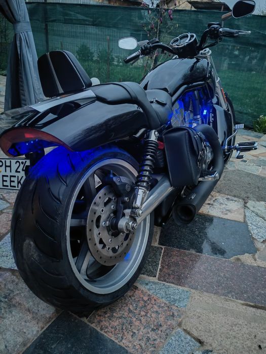 Harley-Davidson 1250 v-rod muscle vrscf