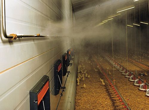 fog machine mikroklimat tuman hizmatlar 5hil mikro.uz