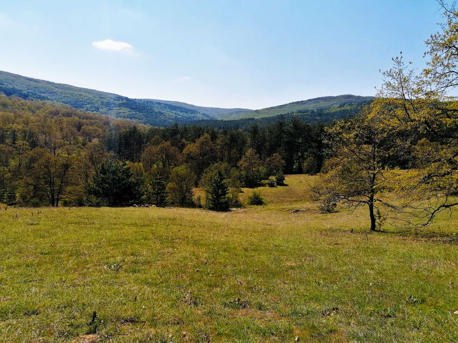 Продава се Земеделски имот в Тополовград -  кв.м за 744 €/дка - Снимка #8