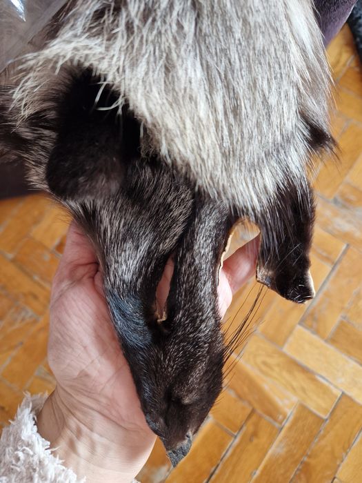 Елече естествена кожа с косъм