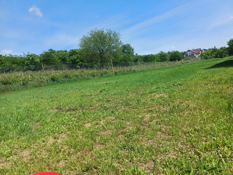 Teren 500 mp, Carcea, 120E/mp,toate utilitatile !