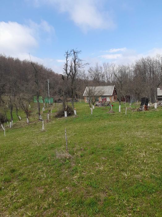 Coliba plus 2 hectare de pamant