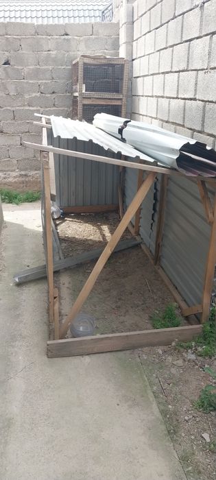 Клетка для кур, обустроенный