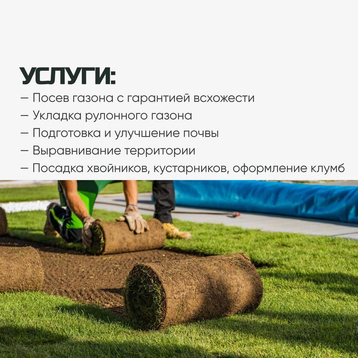 Озеленение участков, посев и укладка газона