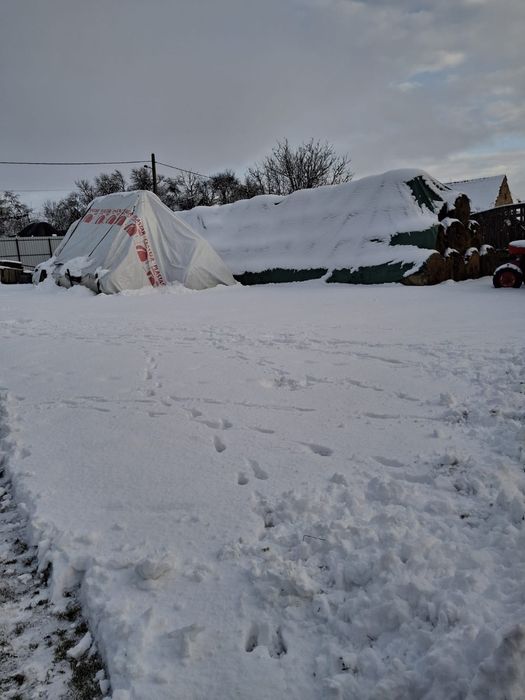 Baloț mari de fîn de vinzare