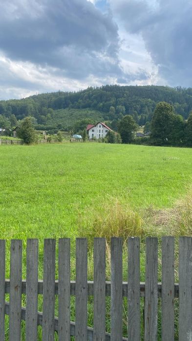 Teren Frasin 6000 m²