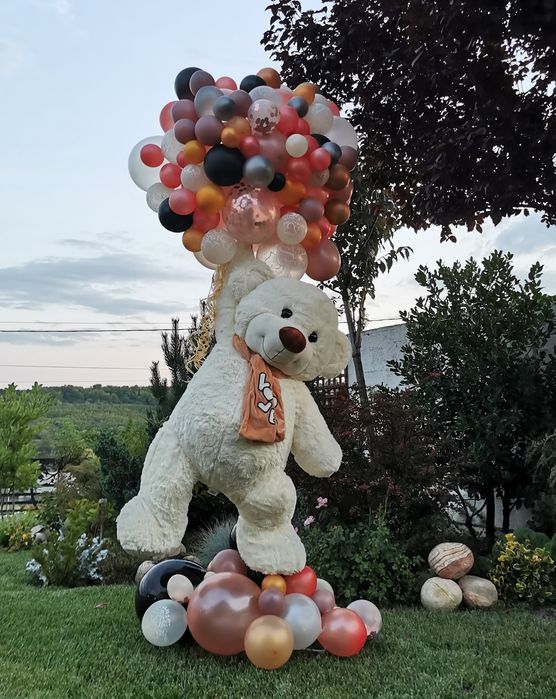 Decorațiune eveniment 300 de lei