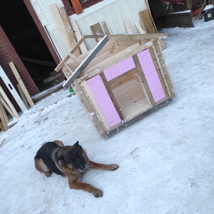 Cușca câine  pe comanda !