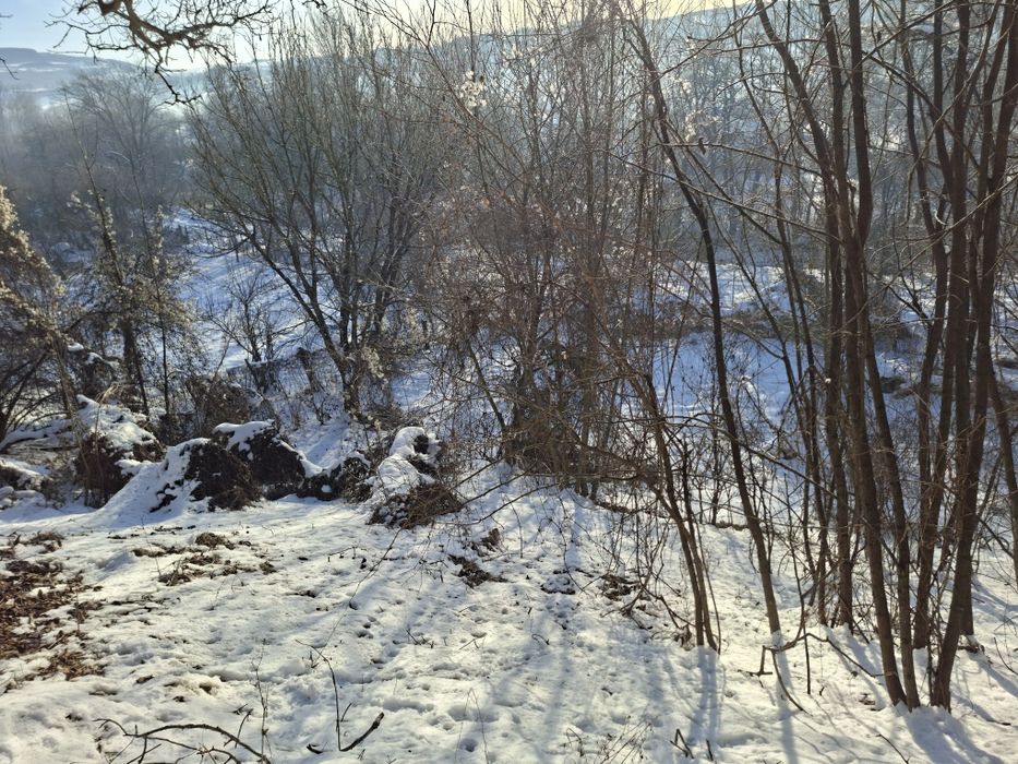 Teren 17 ari intravilan în Dămieni nr. 1 – zonă liniștită