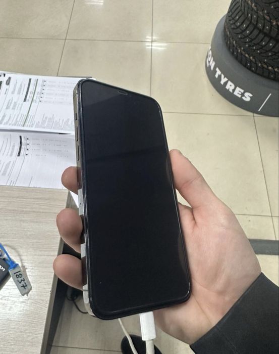 12 Про Макс 256 гб