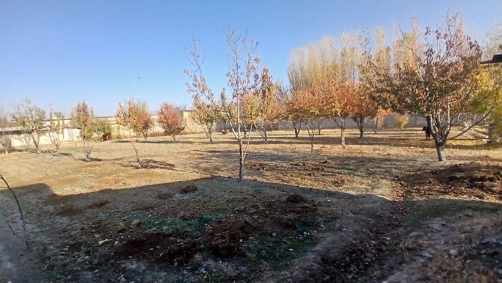 Tuman markazidan qulay joylashuvga ega yer uchastkasi sotiladi.