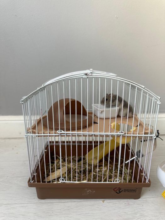 Продам хомяка и клетку