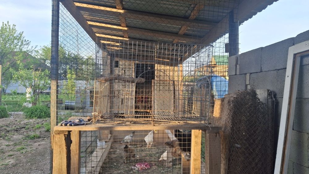 Клетка сетка для животные