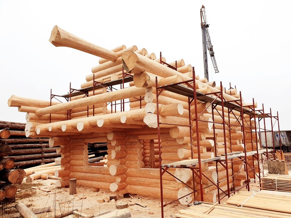 Case cabane bustean , mobilier gradina , lambriu si Dusumea