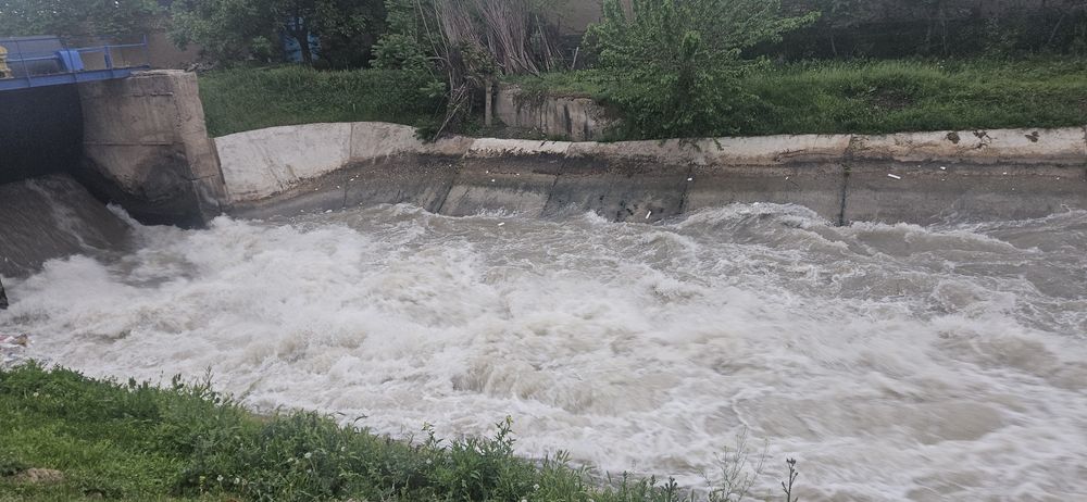 Катта сувни буйида дала ховли ва мини ферма сотилади.