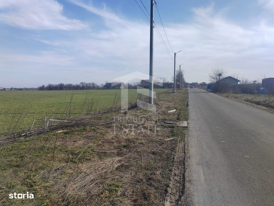 Cernica Tanganu super pret rezidential sau depozitare