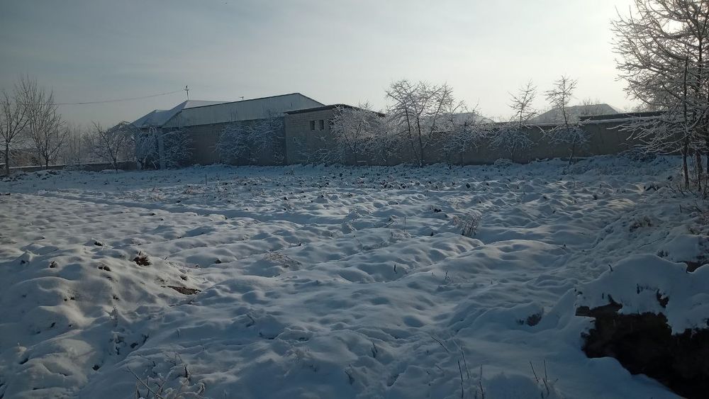 Yer uchastkasi sotiladi 6 sõtik