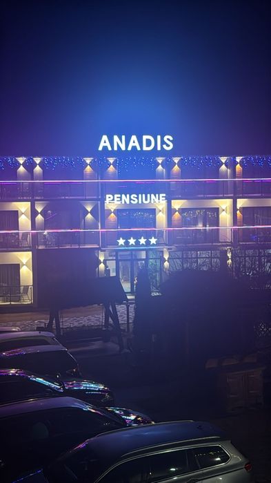 Cazare Toplița Pensiunea Anadis 4*