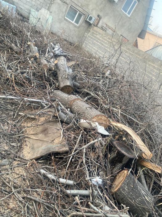 Дрова пеньки дрова бесплатно