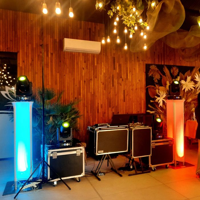 Dj, caut solista pentru evenimente private..