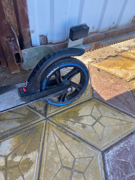 Самокат Roces оригинал