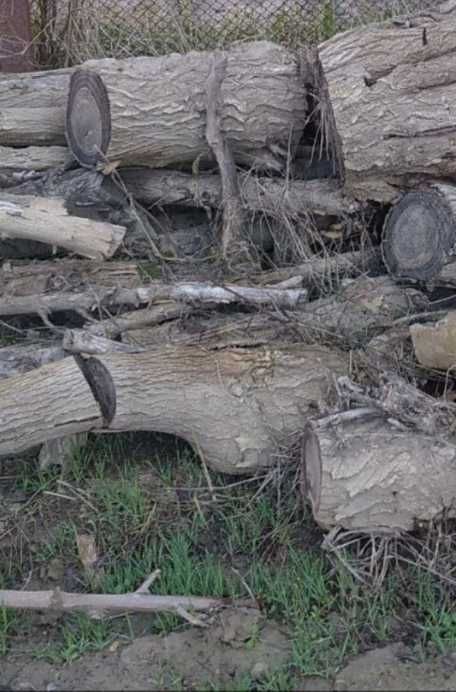 Дрова o‘tin отин утин, сотилади нарх келишилади, битта газель толади