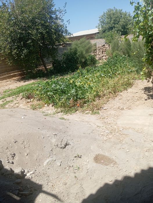 1 сотиги 12000$ 3 сотик яна келишамиз